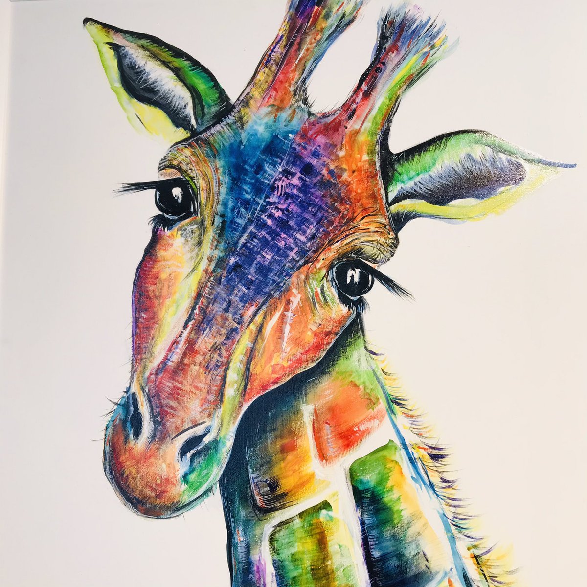 North Art tweet media