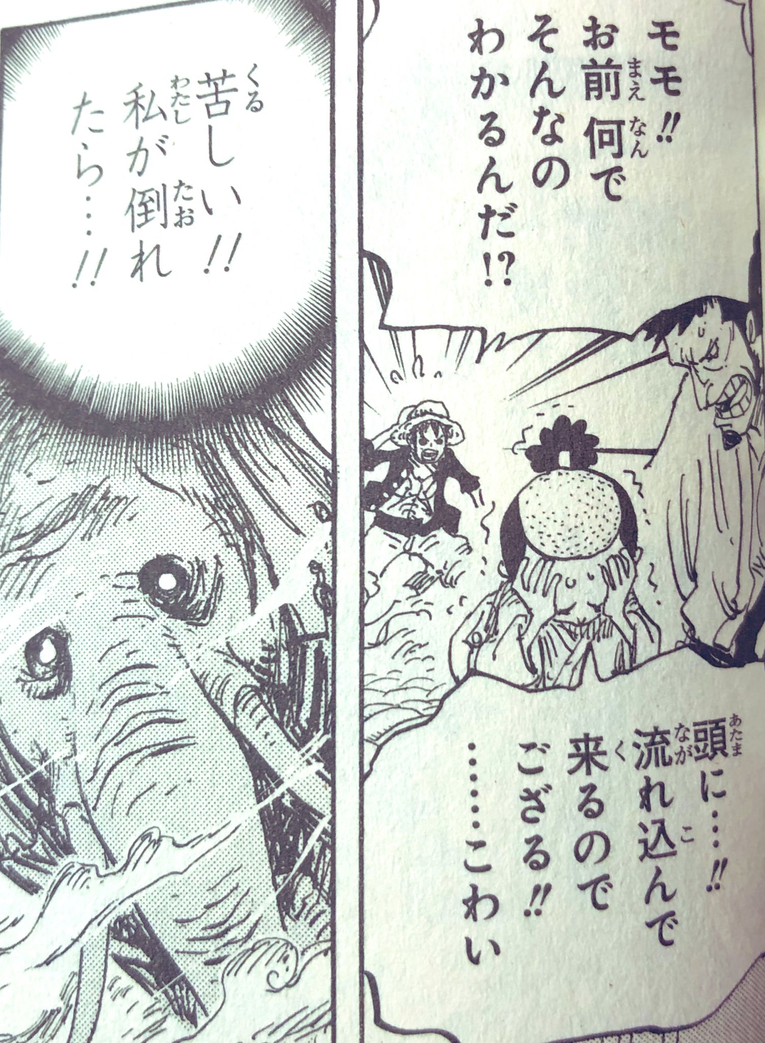 ケンウェイ船長 モモの助ってズニーシャと会話してるの ズニーシャもワノクニに参戦 モモの助 プルトン しらほし ポセイドン みたいな説があるけど ウラヌスはどうなるんだろ 空の生き物 霜月リューマが昔斬り落とした竜を操る人物 ワンピース