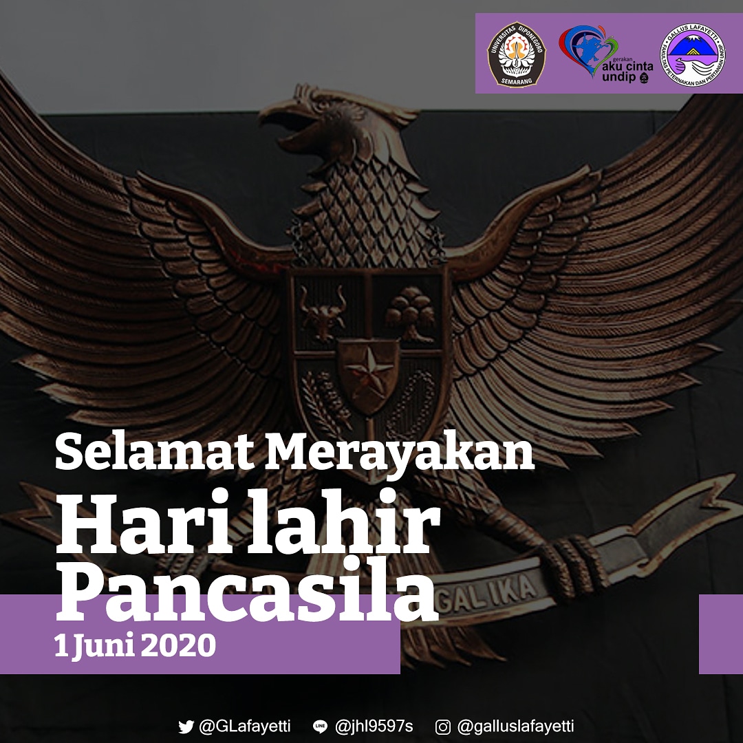 Gallus Lafayetti FPP tweet media