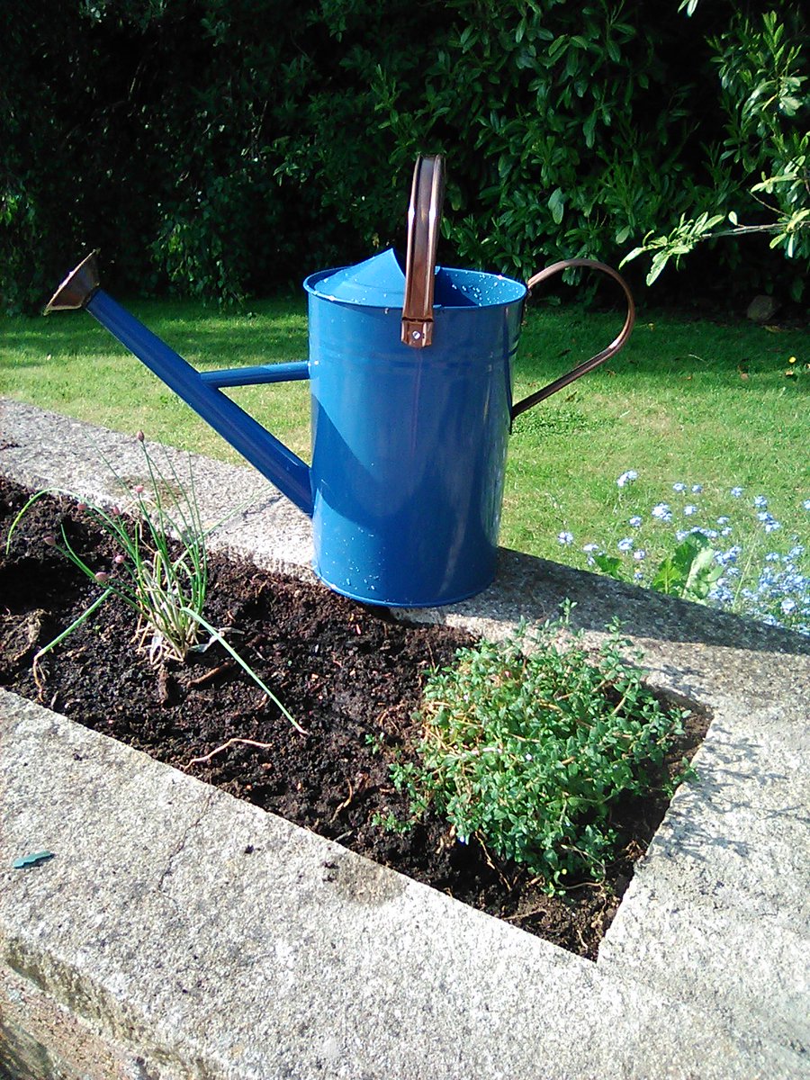 _SiobhanS_'s tweet photo. There is something quite lovely about pottering about the garden with a watering can, especially one as pretty as this. #gardening #Wellbeing https://t.co/dCjqmPhgwJ