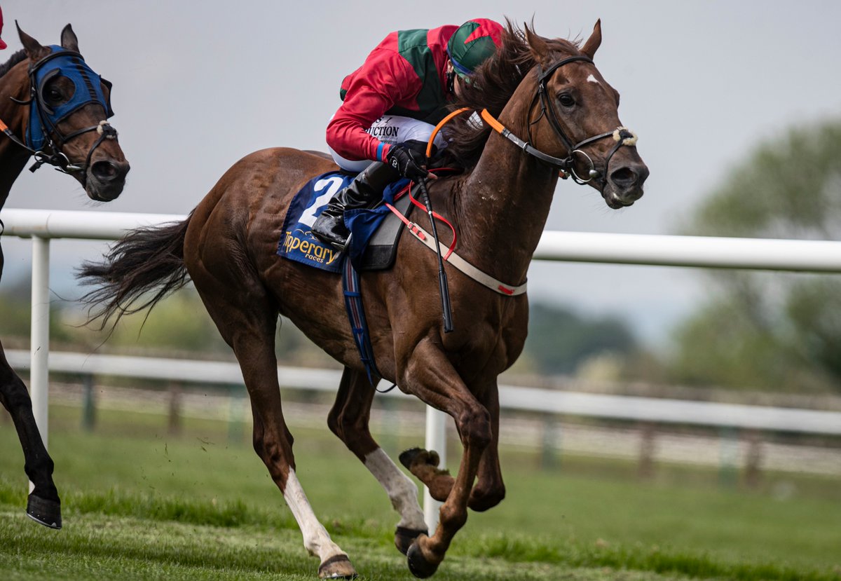 🇪🇸 𝐒𝐏𝐀𝐍𝐈𝐒𝐇 𝐓𝐄𝐍𝐎𝐑 

Winner of the 4.40pm Tipperary Races Claiming Race.