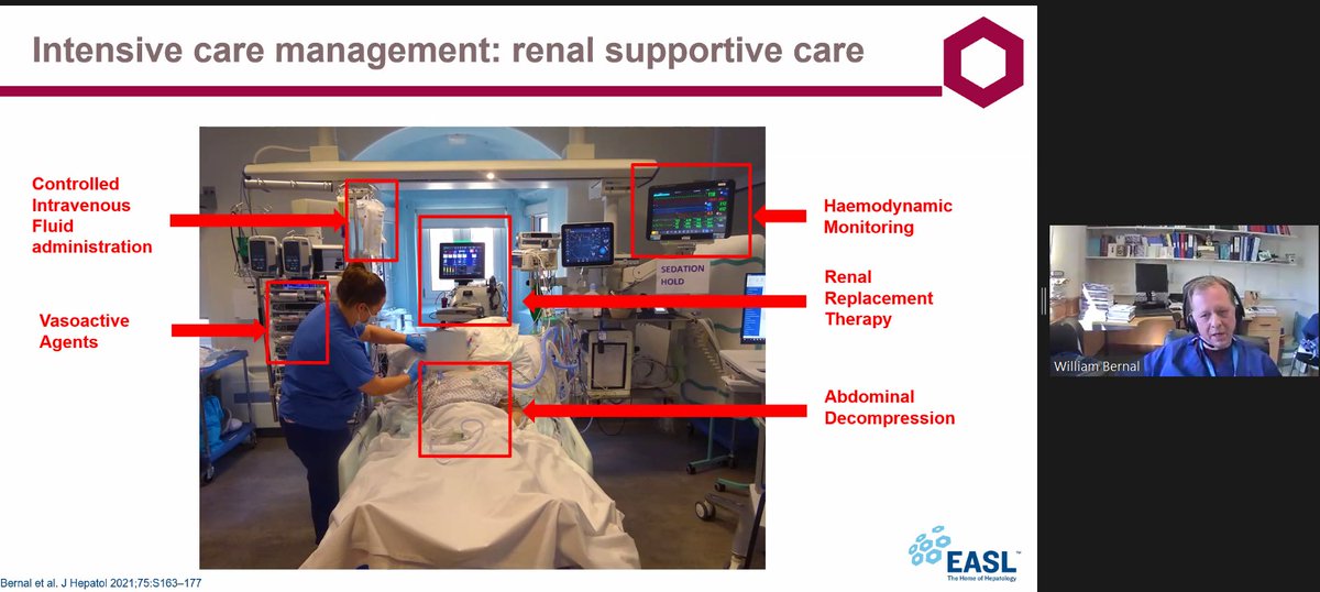 EASLedu's tweet photo. William Bernal on the renal supportive care at #EASLwebinar on management for decompensated cirrhosis.
#livertwitter
@EASLnews @JHepatology @KingsCollegeNHS https://t.co/kgPzXrV0t9