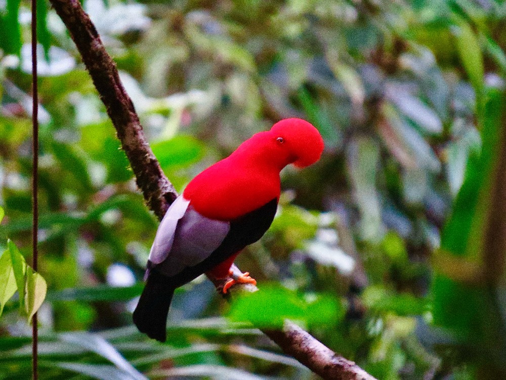 Learn From Travel tweet media