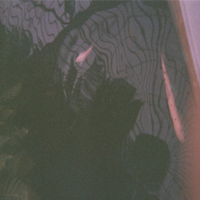 Buzzy Band tweet media