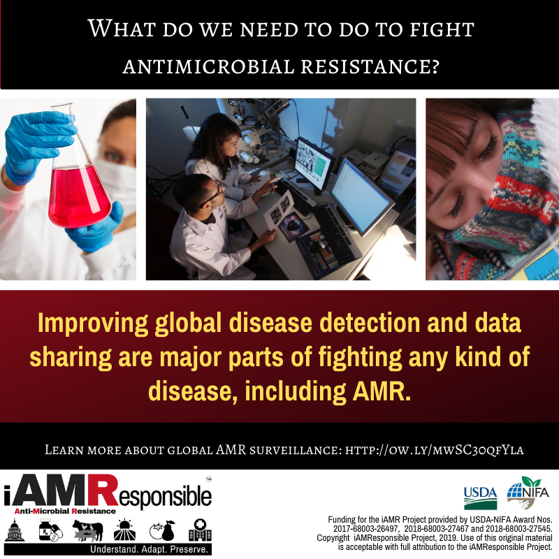 i_AMResponsible's tweet photo. We know that infection prevention is one of the most valuable things we can do to fight #antibioticresistance. Improving disease monitoring can go a long way to reducing infection and AMR. https://t.co/aW8QwOjoAU https://t.co/JCIiQOr1q9