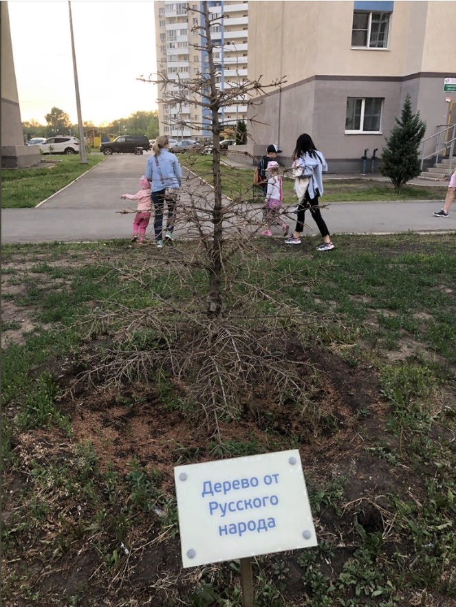 @SODEDDS <a href="/DTransporta/">Дептранс Самары</a> <a href="/Jeepsamara63/">Олегыч number two.</a> <a href="/MP_Blago63/">МП Благоустройство</a> <a href="/DepGorHozSamara/">Департамент ГХиЭ</a> @depstroy132 <a href="/gms67237124/">Фрэзи Грант</a> @Alexander_Samed <a href="/l_galyzinskya/">Лариса Галузинская</a> <a href="/BNataljaG/">Наталья 🔥🔥🔥</a> <a href="/J5dkmA7pjeflJBB/">Александр</a> <a href="/rWxiihregngwb4q/">Сергей Корчевой</a> <a href="/volgarsamara/">Волгарь г.Самара</a> <a href="/FrekenBok63/">Фрекен</a> <a href="/noginskiy63/">Алексей Ногинский</a> <a href="/yJvy9n6X8UIZxdt/">таймур</a> <a href="/SamMobilePriem/">Мобильная приемная Губернатора Самарской области</a> <a href="/olesiavorontzo3/">Воронцова Олеся</a> <a href="/MVMalakhova/">Малахова Марина</a> <a href="/sfte6a1zPaAepCw/">Надин</a> <a href="/0lgaAnatolevna/">Olga Kurushina</a> <a href="/JohnOrdin/">Иван Сергеевич</a> <a href="/kuibadm/">Администрация Куйбышевского района</a> <a href="/GISN_63/">Государственная инспекция строительного надзора СО</a> <a href="/samara_in/">Администрация Самары</a> <a href="/E_Lapushkina/">Елена Лапушкина</a> <a href="/EDDSSamara/">ЕДДС</a> <a href="/D_Azaroff/">Дмитрий Азаров</a> <a href="/Sementemnikov/">ОСМ 10 Куйбышевского района г.о.Самара</a> <a href="/MedvedevRussia/">Дмитрий Медведев</a> <a href="/Pravitelstvo_RF/">Правительство России</a> <a href="/mpgati1/">МП "ГАТИ по благоустройству"</a> <a href="/Mintrans163/">Минтранс СО</a> <a href="/gibdd_rus/">Госавтоинспекция МВД России</a> <a href="/gibddsamara/">ГИБДД Самара</a> <a href="/AskerovaEmiliya/">Аскерова Эмилия Юрьевна</a> <a href="/sovet_kbr/">Совет депутатов Куйбышевского района</a> <a href="/AA_Korobkov/">Алексей Коробков</a> <a href="/avtosamara/">автоСамара</a> <a href="/dtp_163/">ДТП 163 Самара</a> @DORSIGNAL <a href="/4ugunoff_ODD/">Александр Чугунов</a> <a href="/samaragis/">Телеканал Самара-ГИС</a> <a href="/volgar_official/">volgar_samara</a> <a href="/Tatyana_T_K/">ТАТЬЯНА</a> <a href="/sks_rks/">СКС</a> <a href="/Teploenergy63/">teplo.energy.63</a> <a href="/D_Azaroff/">Дмитрий Азаров</a> <a href="/E_Lapushkina/">Елена Лапушкина</a>  в преддверии праздника дружбы народов и приезда ПУ вы специально оставили одно дерево не замененным?
Что вы эти хотели сказать?
По аллеи поведете?
Жители будут ждать. Вопросы по воде, воздуху и застройщику так и не решены, как и с инфраструктурой....