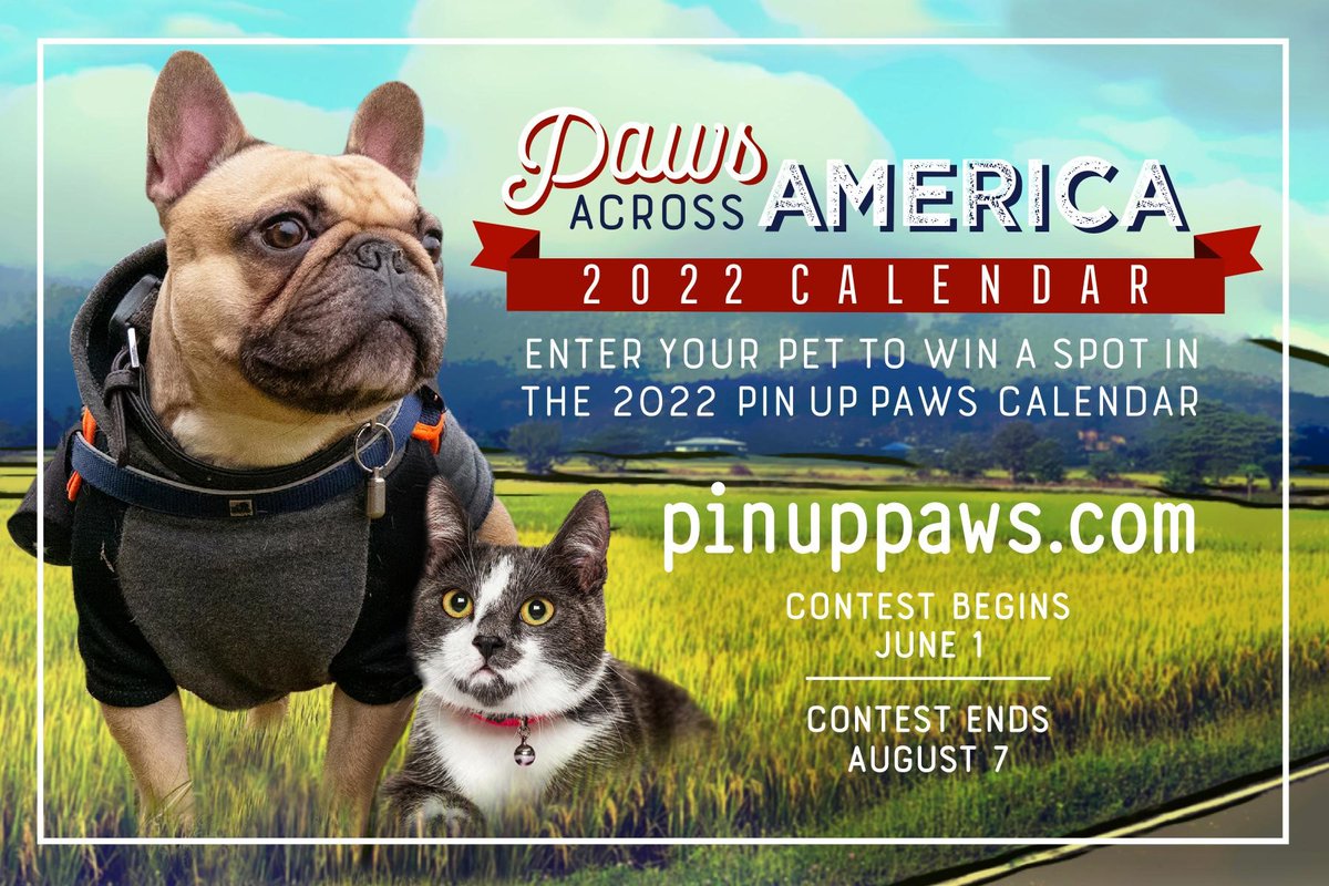staughumane's tweet photo. It's time for our 2022 #PinUpPaws Calendar Contest!
Your pet has the chance to be featured in our 2022 "Paws Across America" Pin Up Paws Calendar. Snap an adorable photo of your pet, and enter our contest today!
For a list of prizes and to enter, visit the link in our bio. https://t.co/ovoakUGCWZ