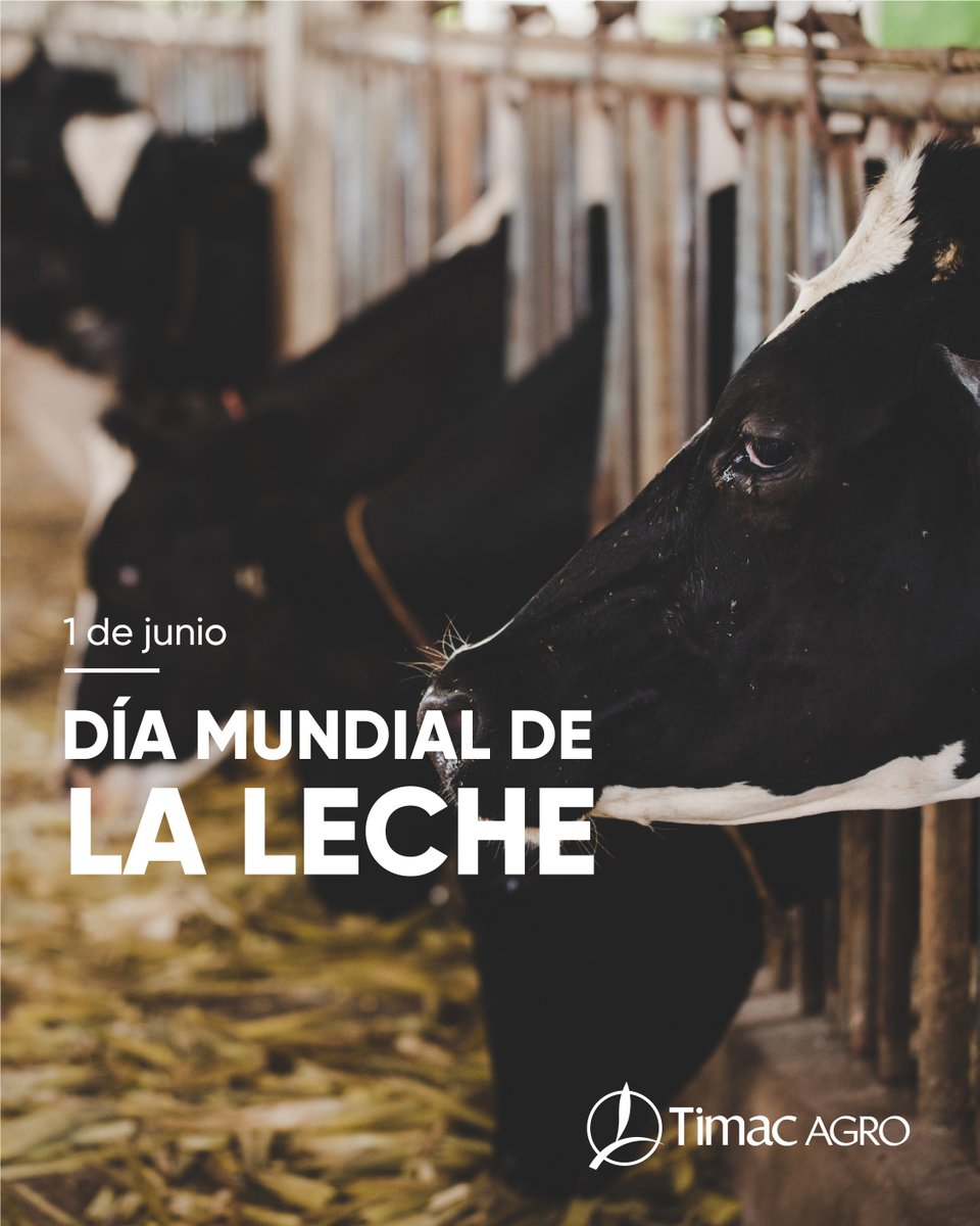 Hoy, en el Día Mundial de la Leche, queremos enfatizar en la importancia de su consumo como fuente principal de alimentación y nutrición para el desarrollo.

Queremos saludar y agradecer al todo el sector lácteo por su trabajo diario.
#DíaMundialDeLaLeche #TimacAgro #ElAgroNoPara