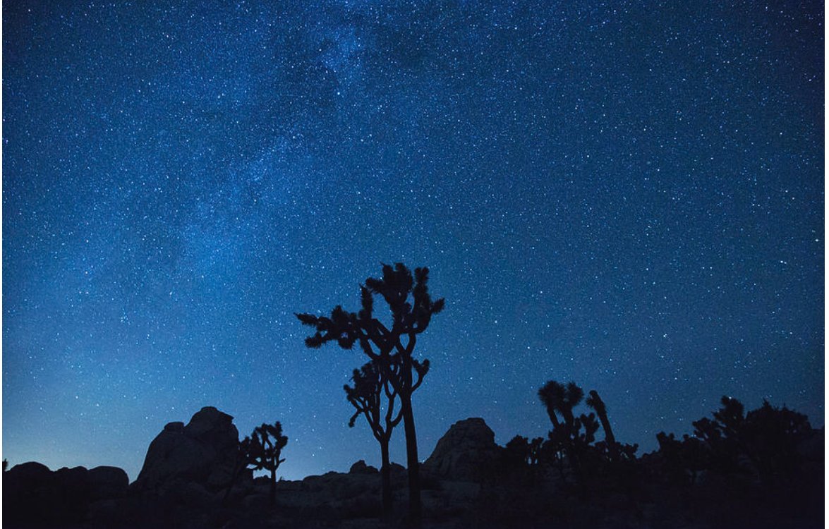 KunalMehraPhoto's tweet photo. A lifetime isn't long enough for the beauty of this world and the responsibilities of your life - #MaryOliver
True, but a weekend at #HiddenValley in #JoshuaTreeNationalPark will give you enough #beauty. #JoshuaTreeStars #JoshuaTreeCamping
https://t.co/Cfbf2DKOun https://t.co/3wufaLnHyV