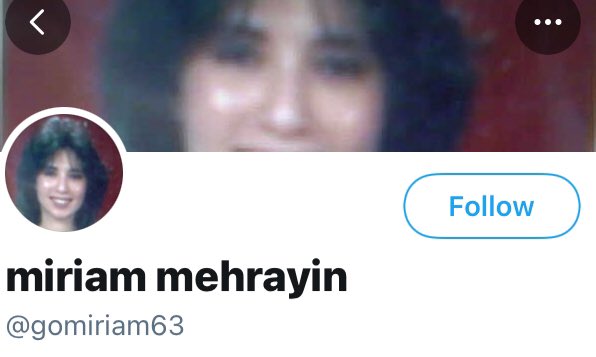 ANTISEMITE WARNING @gomiriam63 Is a dumb AntiSemite of the highest calibre who is unable 2muster an opinion or thought of her own Shes a British Iranian who pontificates &makes wildly outrageous claims which she is unable 2substantiate when challenged #ASRBList