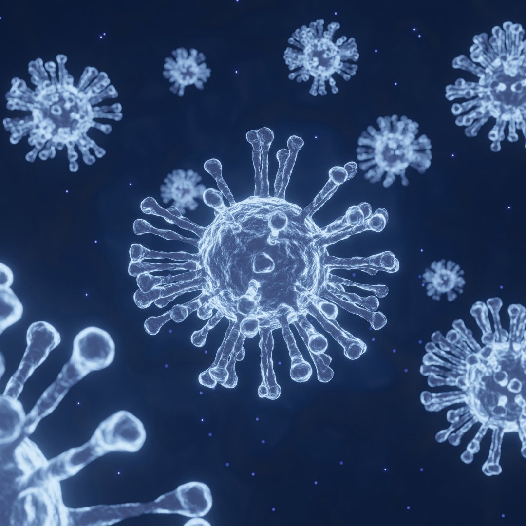 勃起不全のリスクが低い