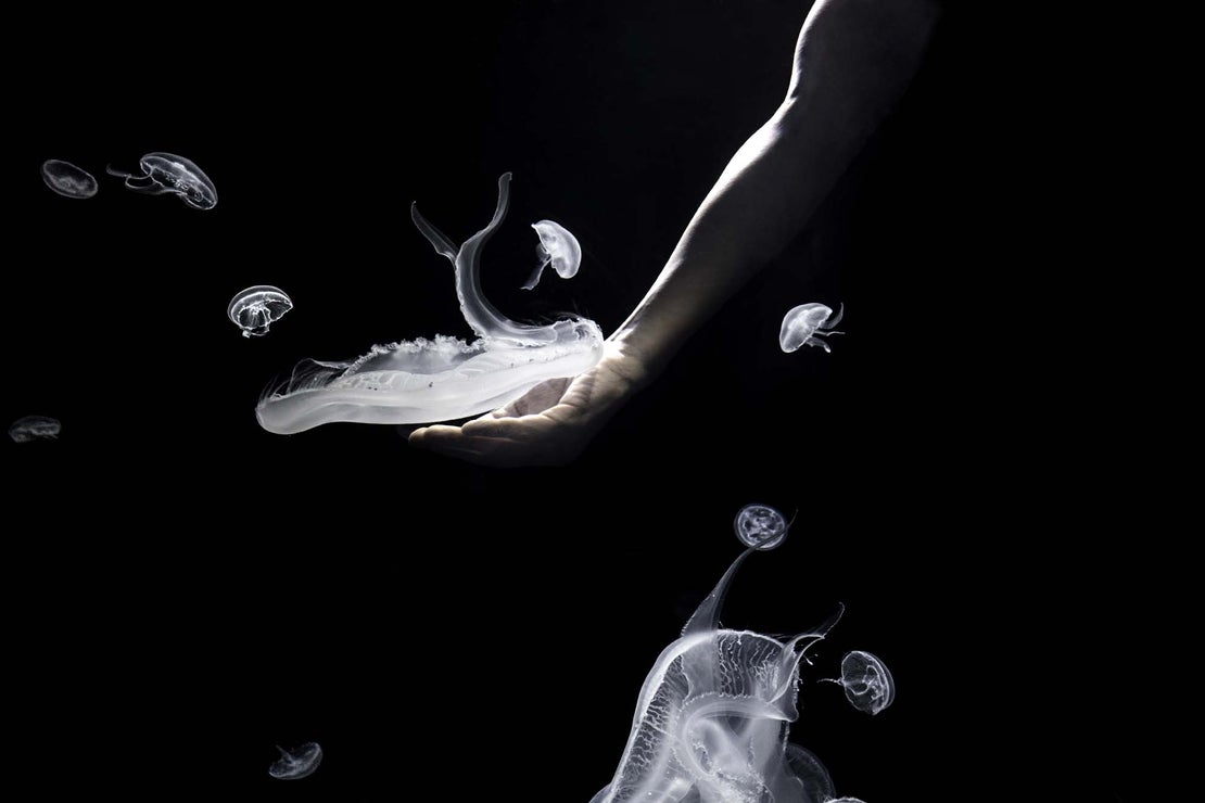 PHotoESPAÑA (@photoespana) | Twitter
