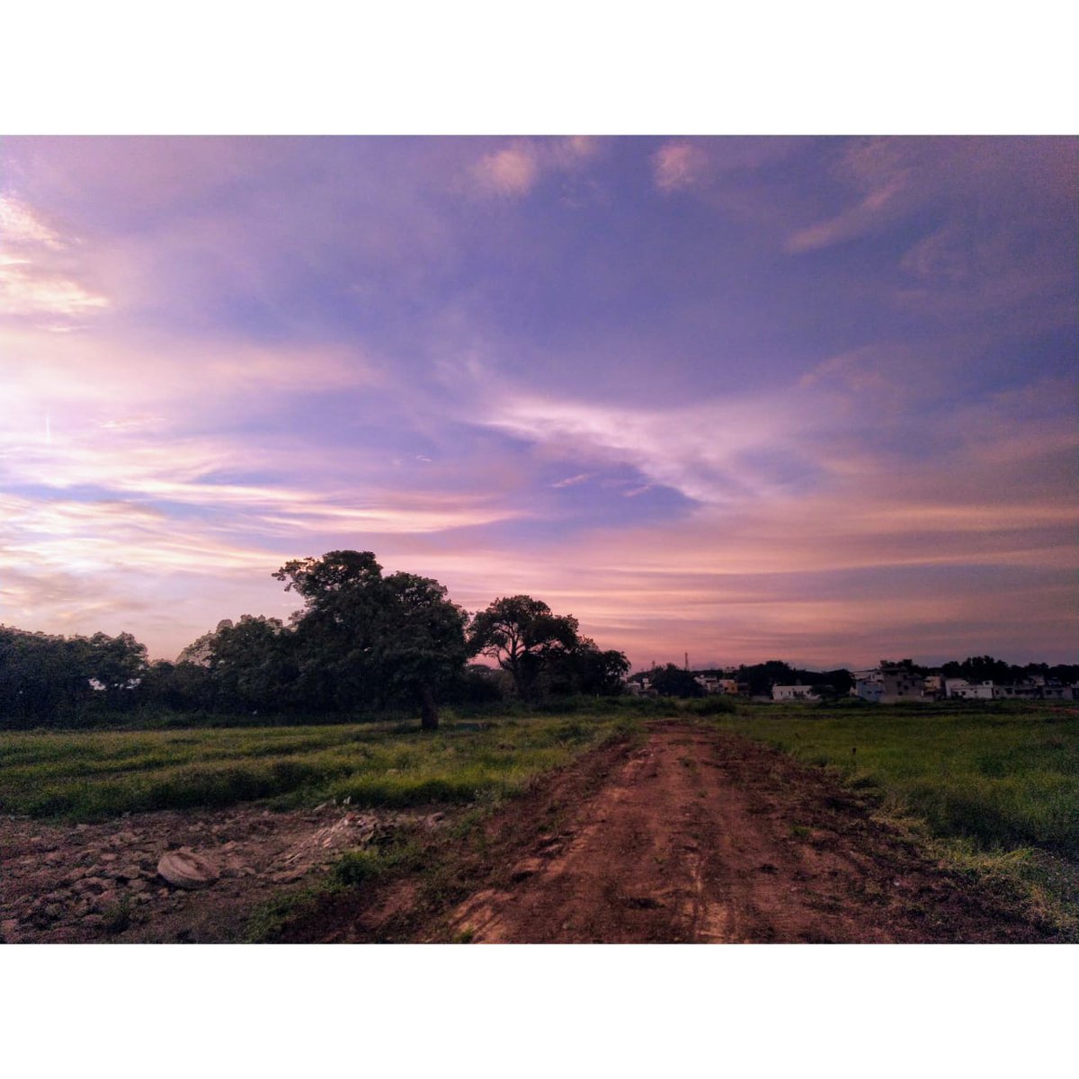 ManagaviSneha's tweet image. The beauty is around us...we just need to capture it in our own way 🤗 

#NaturePhotography 
#Belagavi 
#skycolour 
#beautiful 
PC- @SourabhParchure