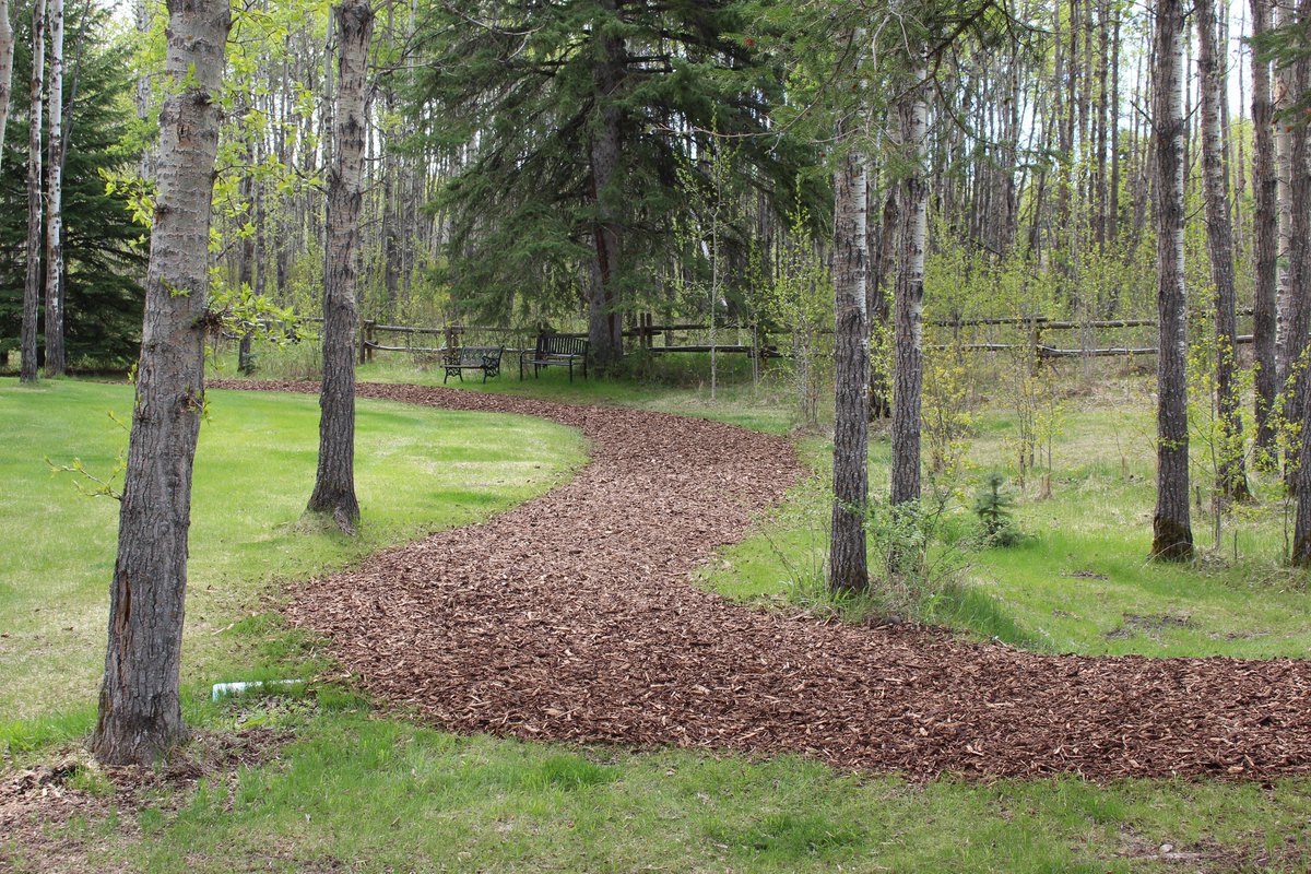 TopSpray's tweet image. For walkways and paths, choose a medium-sized mulch as bigger-sized mulches may be difficult to walk on.   Mulching your pathway defines your area and eliminates muddy spots, keeping your yard (and shoes) much cleaner. 
#topspray #foothillspremiummulch