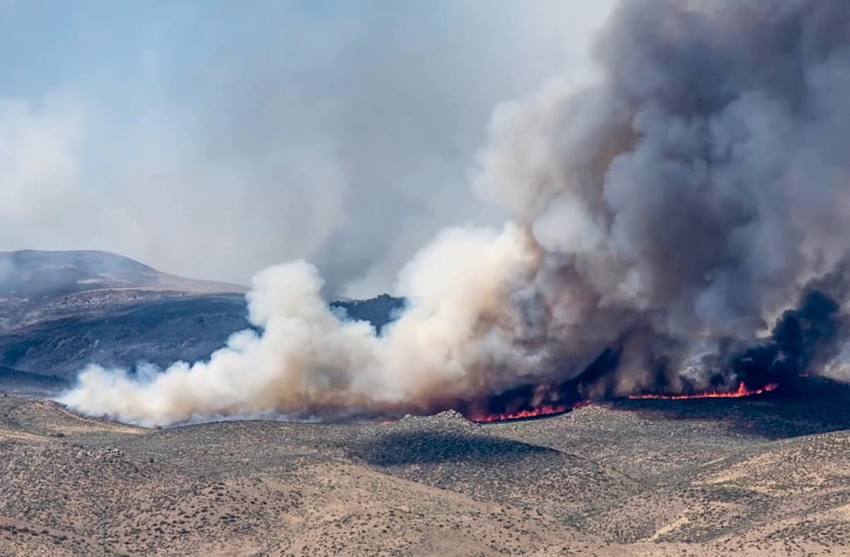 Desert Research Institute (@driscience) on Twitter photo #Fire emissions in the Southern Hemisphere may have been much higher during pre-industrial times than in the present day, according to a new study published in <a href="/ScienceAdvances/">Science Advances</a> and featuring <a href="/DRIScience/">Desert Research Institute</a> ice core research. Read more: ow.ly/8dB350F0kW7 #DiscoverDRI #Fire emissions in the Southern Hemisphere may have been much higher during pre-industrial times than in the present day, according to a new study published in <a href="/ScienceAdvances/">Science Advances</a> and featuring <a href="/DRIScience/">Desert Research Institute</a> ice core research. Read more: ow.ly/8dB350F0kW7 #DiscoverDRI