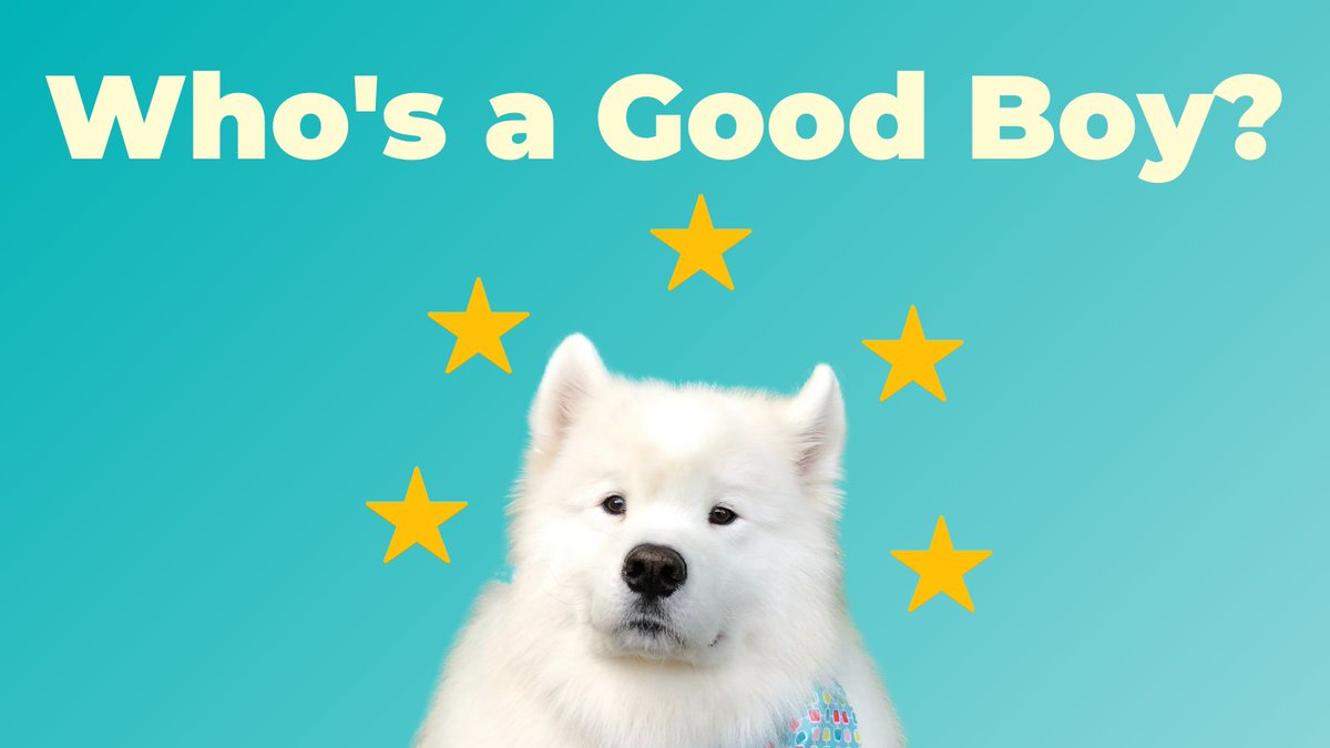 marcolearning's tweet photo. Hello, friends! Has Marco Learning helped you out this AP season? If so, we'd love to hear how and why with a review: 

https://t.co/CKL1lXGZRq

Appreciate it!
XOXO Marco 🐾
 #apexams #aptest #apchat https://t.co/sbFTttM0zf