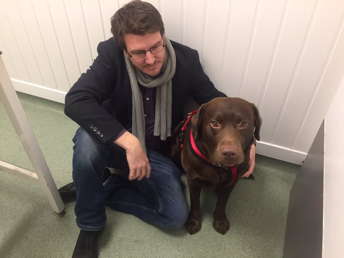 When Rupert went missing, a stranger found him, took to vets, scanned, checked, phoned, reunited in hours. Had they kept (theft by finding) &amp; registered with vet, we may never have seen Rupert again. #FernsLaw scan &amp; check at 1st vet appointment wld help reunite stolen dogs 🐾 RT