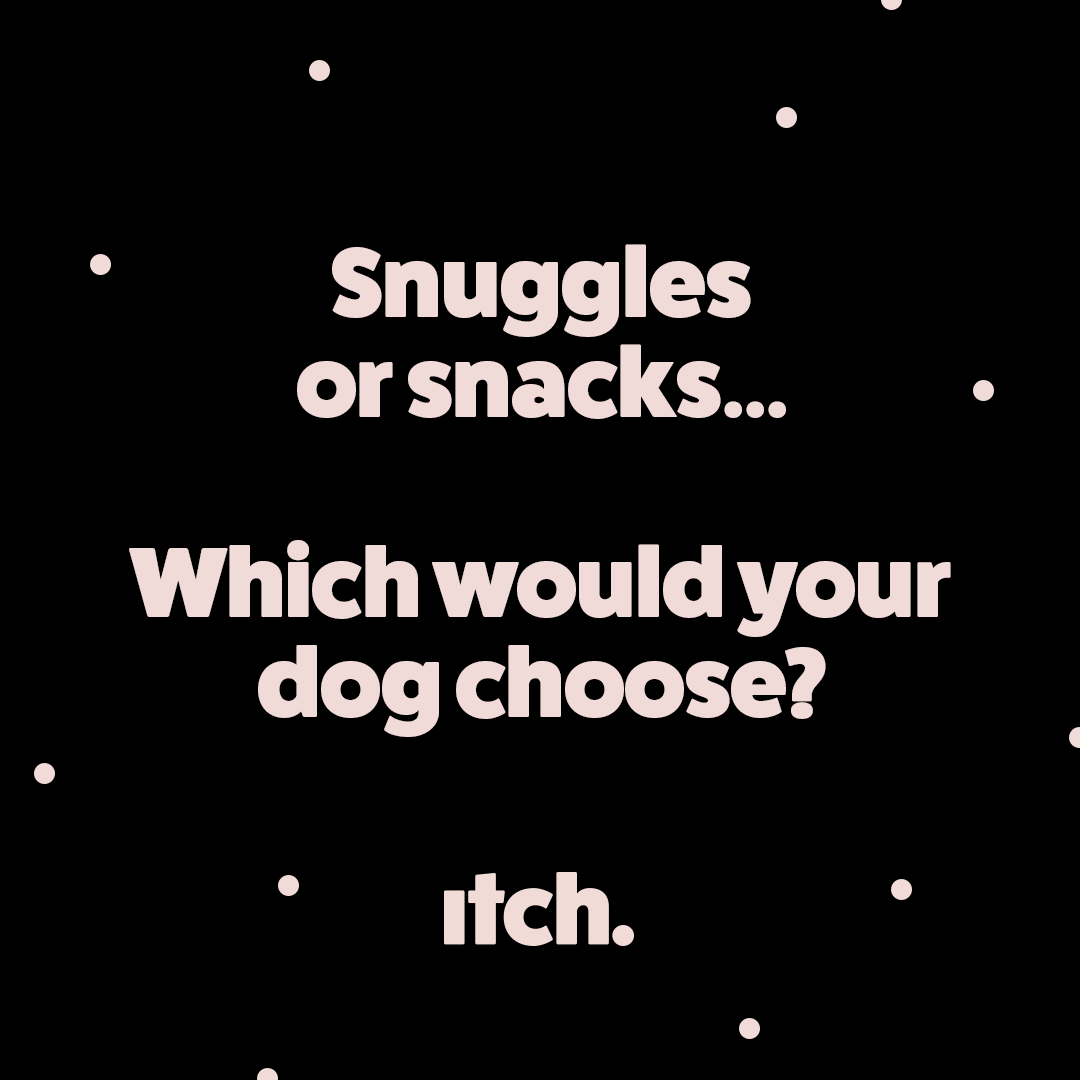 ItchPet's tweet image. Decisions decisions...

itchpet.com

#itchpet #dogdecisions #dogdecisionmaking #dogsofinstagram #doglovers #doglife #doglove #doggygram #dogsofinstaworld #pupsofinstagram #puppers #decisionsdecisions #whichtochoose