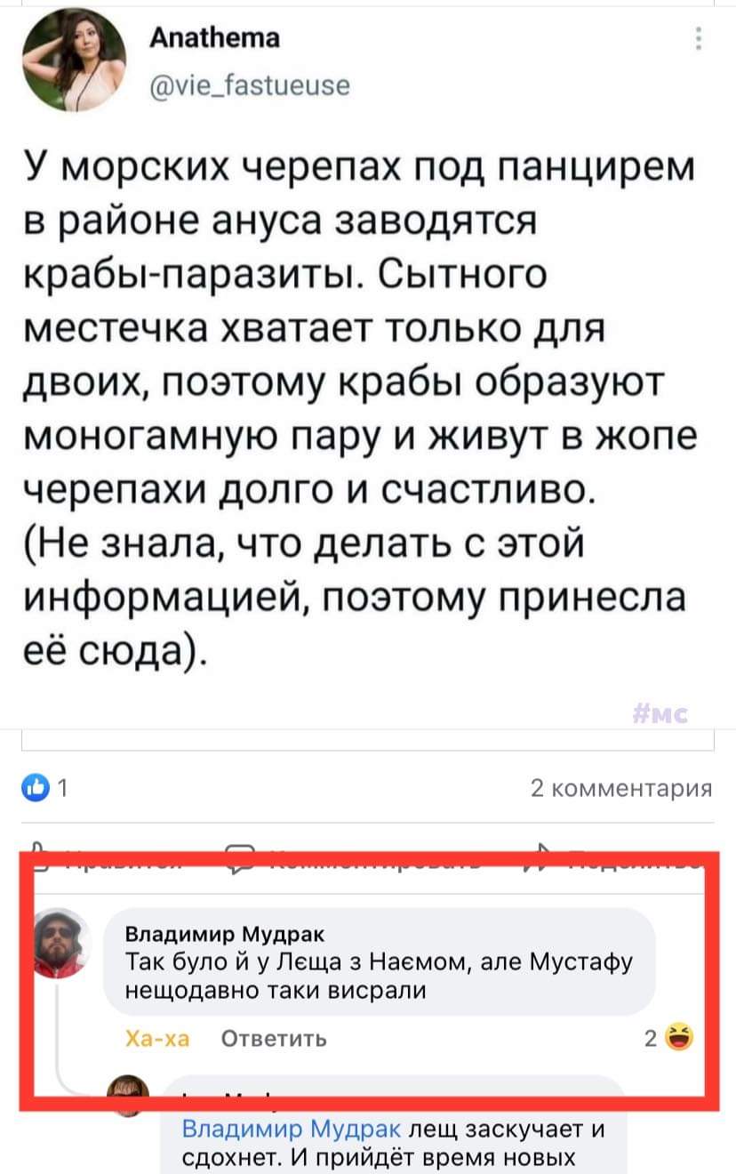 В Офісі президента анонсували телефонну розмову Зеленського і Байдена (оновлено) - Цензор.НЕТ 4236