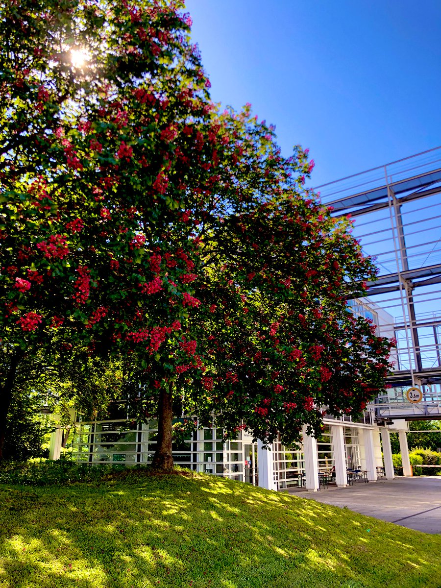 Pascal R. tweet media