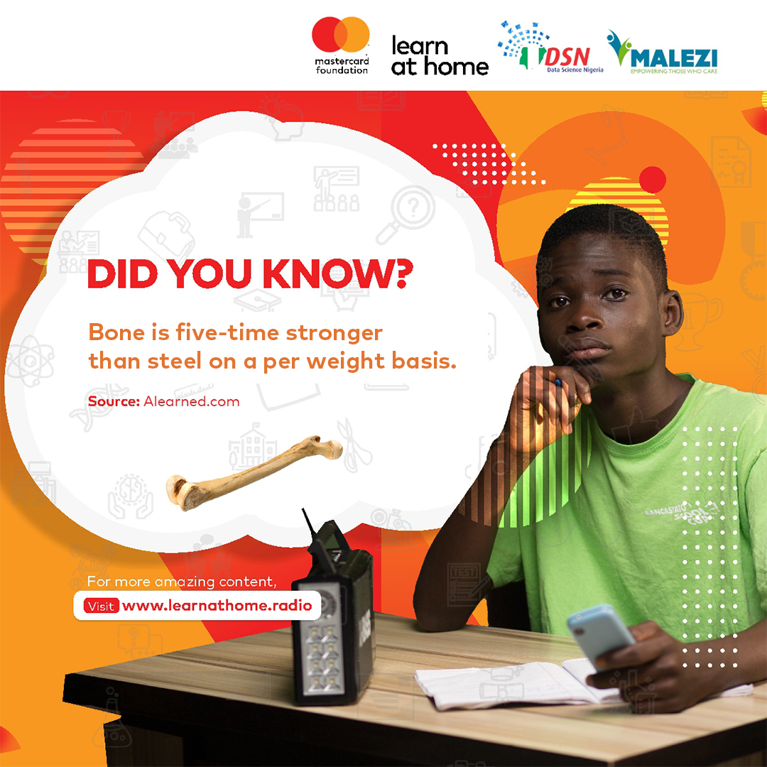 DSNLearnathome tweet media