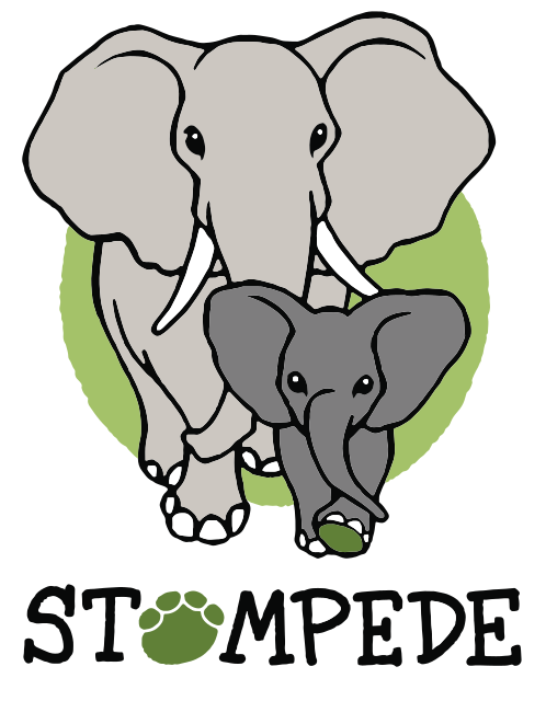 PatriciaChrzan's tweet photo. Hey everyone, I just want to tell the whole world that today I'm starting my @MSCA Fellowship and my dream project called STAMPEDE aka Spatial and Temporal Analysis of Modern and Past Elephant DivErsity.
⏩https://t.co/3PldwB7PW3
#MSCA #projectstampede https://t.co/3ylwTe2tMK