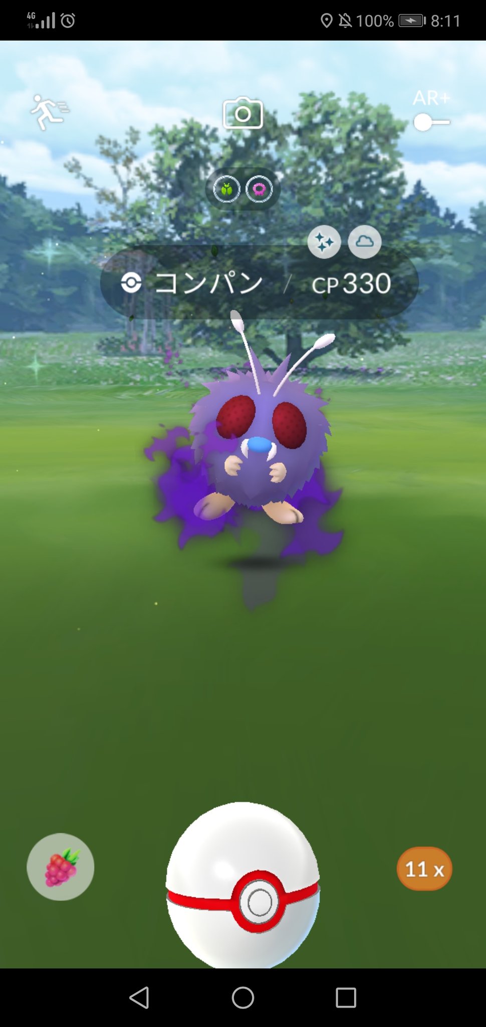 町ル田 今朝は色違いシャドウコンパンもゲット 幹部の色違いシャドウ メガネ君枯らしか手に入れてない気がする ダンバルとクヌギダマも ポケモンgo T Co Njucu2tjli Twitter