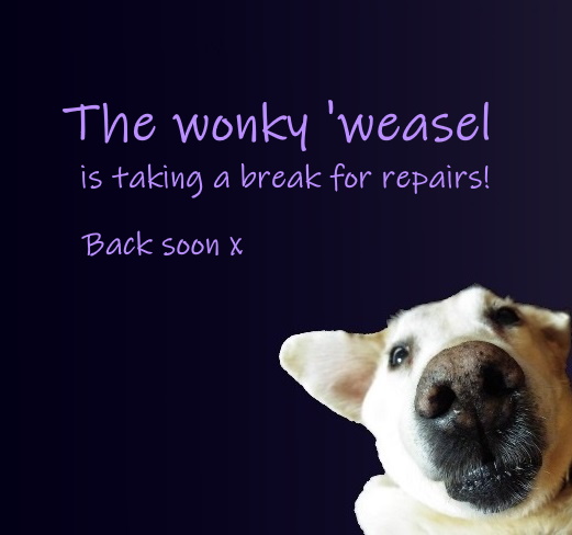 poochweasel's tweet photo. Sorry I haven't been around much lately. I barely dare whisper this but I will hopefully be getting my long-awaited back surgery tomorrow. Fingers crossed for me please! 🙂#wonkyweasel #arthritis #backpain #ChronicPain #surgery #allthegoodpainkillers #wheeeeeee💉🤪 https://t.co/jZTLVfHLUR