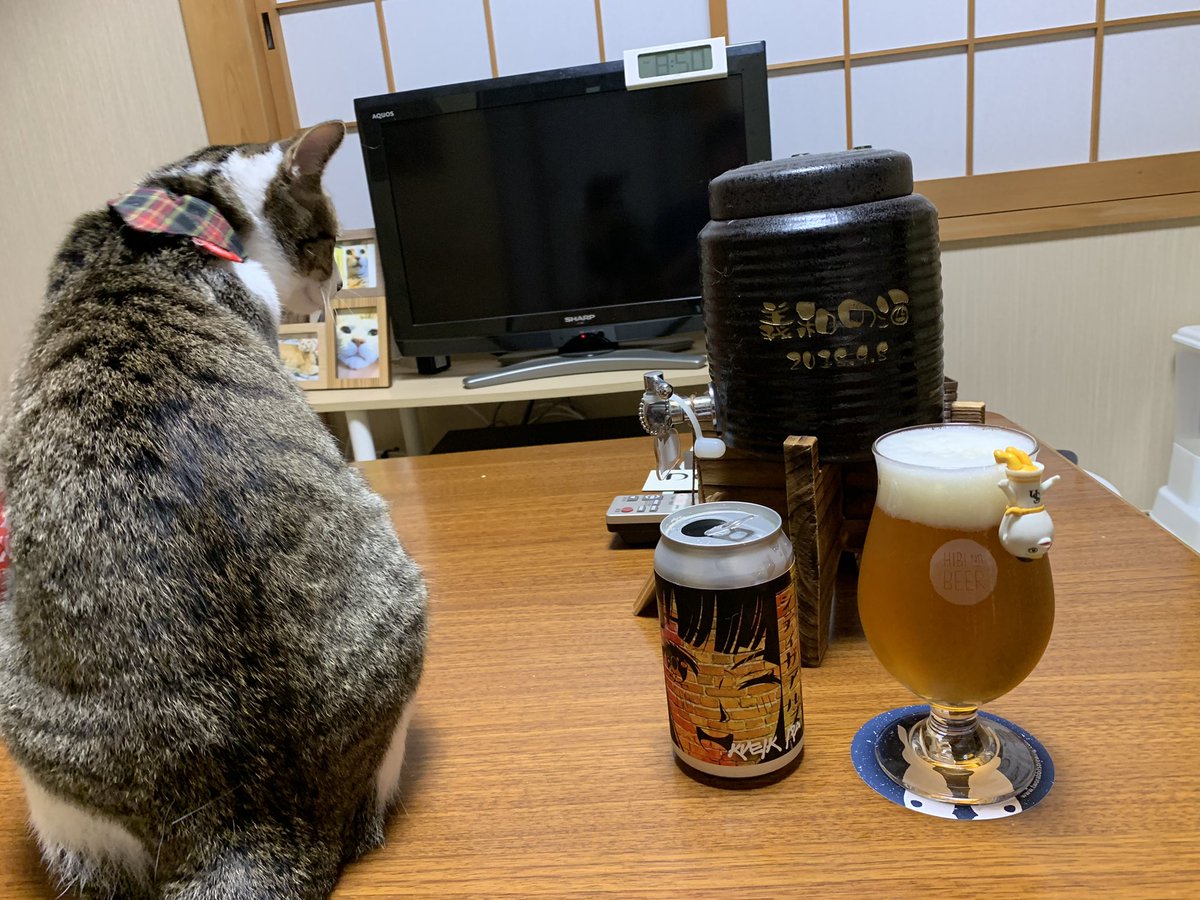 doitch_'s tweet photo. #今日のビール は #二兎醸造 ・ #シティガアルズクヴェイクIPA 。
色もキレイで柑橘系の香りよくてドリンカブル 。
#クラフトビール #craftbeer #ビール #beer #ビールクズ #ホップ中毒 #義和の酒 #ふうさん #TRBC https://t.co/URuWCLrZMU