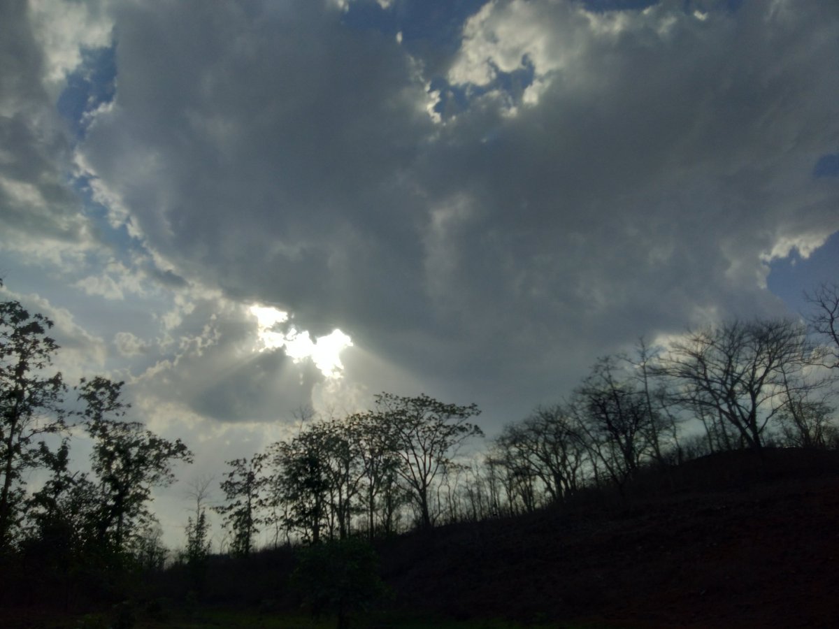 ruikey26's tweet photo. Earth is my temple
Nature is my religion 
#INDIGENOUSTHOUGHT 
#INDIGENOUS #NATIVE 
#BASTAR_SEEKS_HELP 
#SaveBastar #SaveTribal https://t.co/nsV5ErpJg8