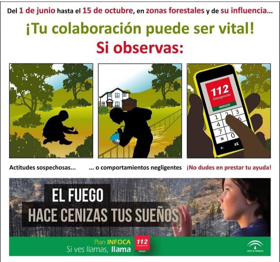 Protección Civil Tarifa tweet media