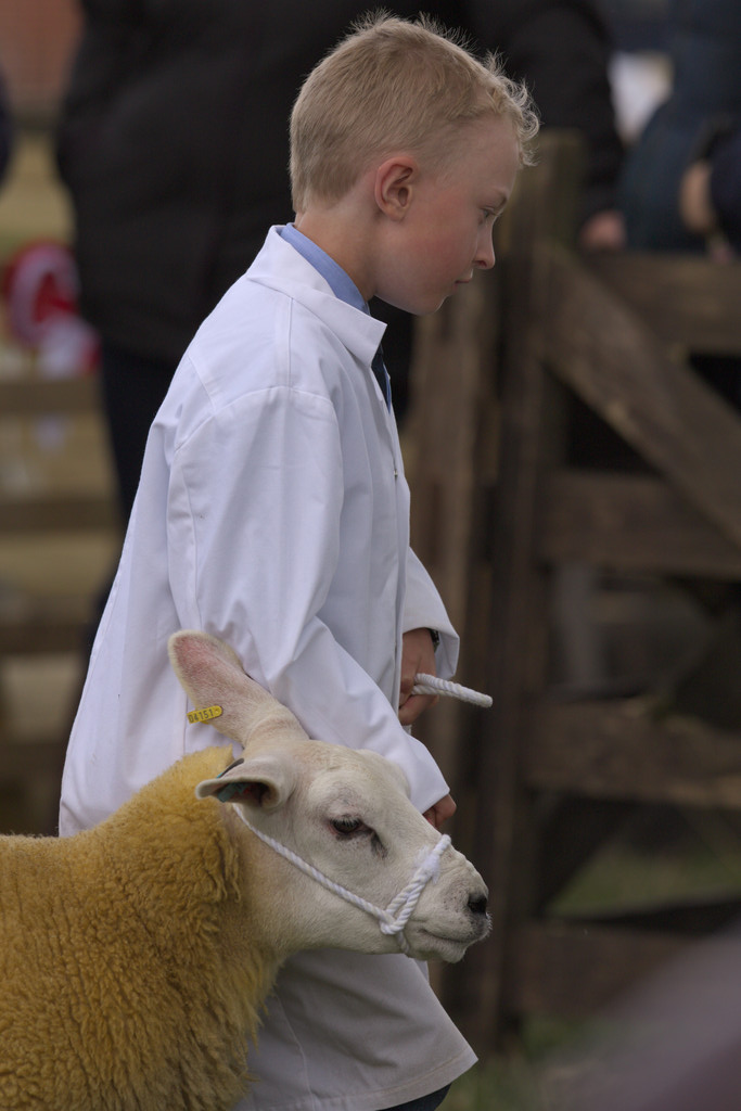 WeetonShowNews's tweet photo. Check out our sheep classes for the Weeton Show on 18th July! https://t.co/MBpMlmtSY0 #villageshow #familydayout #weetonshow #familyfun https://t.co/WnqZZutqOO