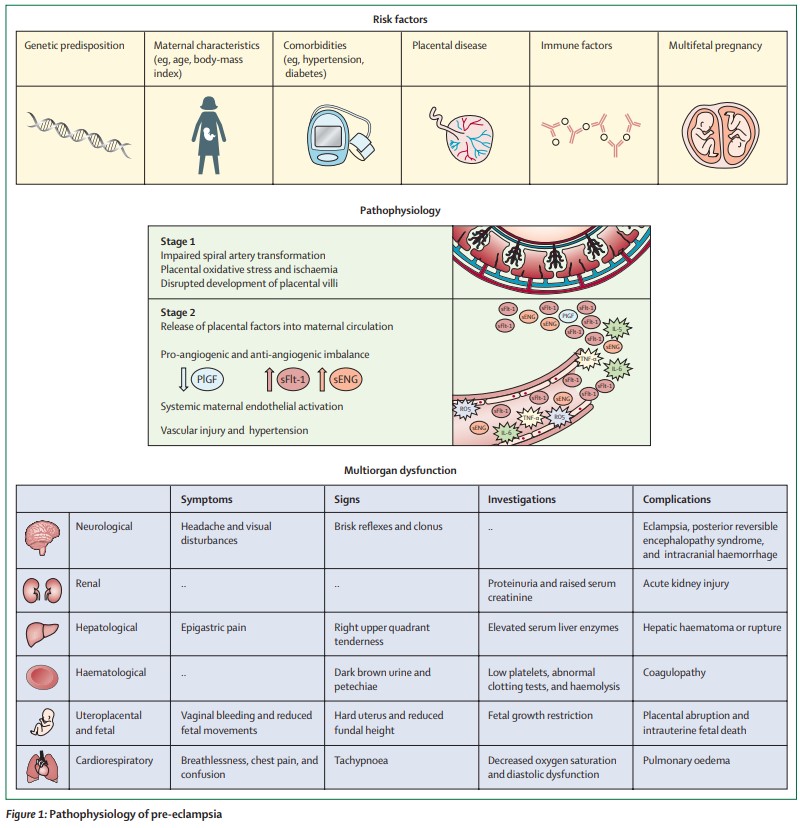 Alexandra Roddy Mitchell (@aroddymitchell) | Twitter