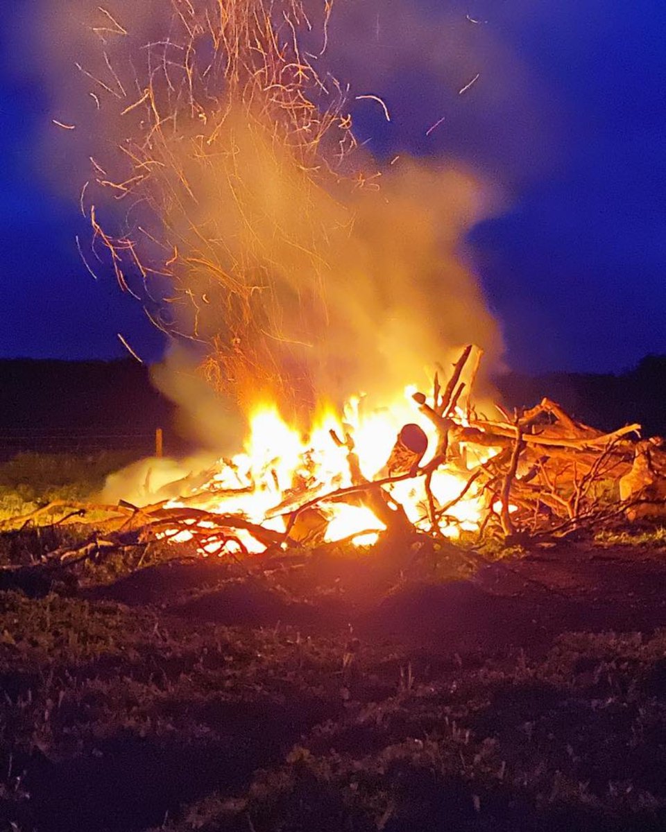 Bonfires in the Great Southern Region, WA 🔥
credit: @irongratewagyu

#GBA #grainbrokersaustralia #agriculture #thankafarmer #weareausfarmers #farmlife #agaustralia #farming #livestock  #allthingsagriculture #wagyu #twopeoplesbay #wa #irongatewagyu #irongate #bonfire #burning