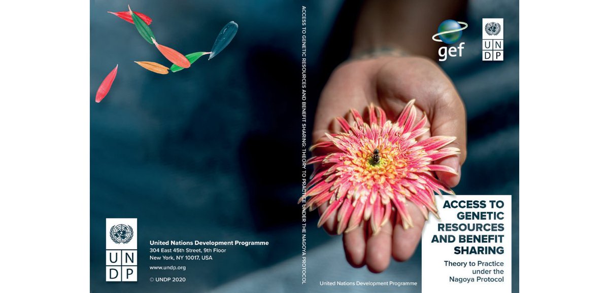UNDPabs's tweet photo. SAVE THE DATE 📅On June 23rd, 2021, we will be launching the publication "Access to Genetic Resources and Benefit Sharing. Theory to Practice Under the Nagoya Protocol".
Stay tuned for more info! 
#webinar #geneticresources #benefitsharing #ABSworkforAll #NagoyaProtocol https://t.co/0hTiZPscNR