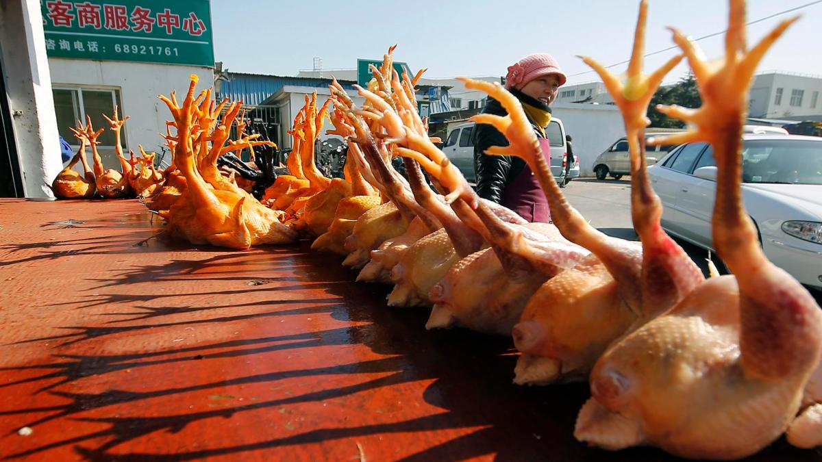 China weist erstmals Infektion mit Vogelgrippe-Variante beim Menschen nach to.welt.de/oSICXtv