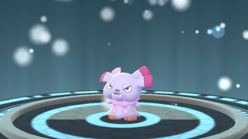 綺姫 Sayaka Kiki Twitter