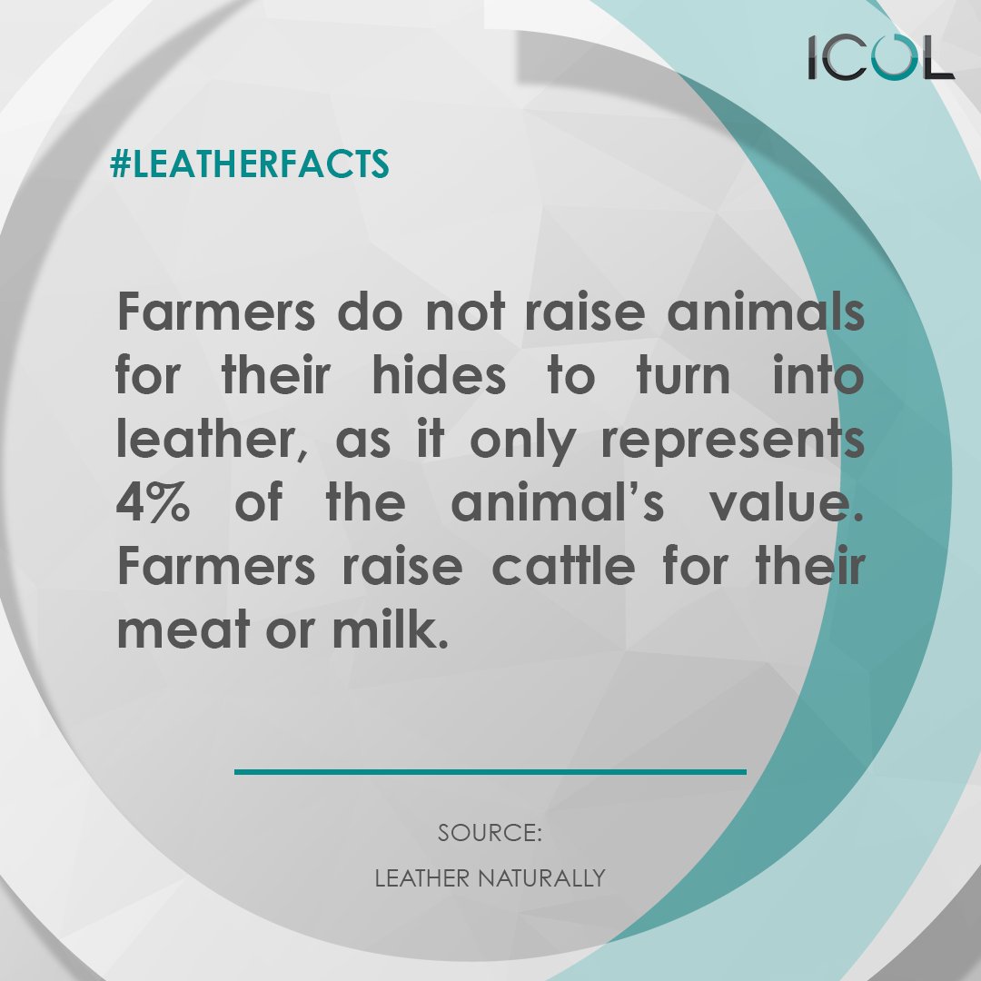 icolgroup's tweet photo. 99% of leathers are made from cattle, sheep, goat and pig. Farmers do not raise animals for their hides to turn into leather. https://t.co/EoZKZllt27