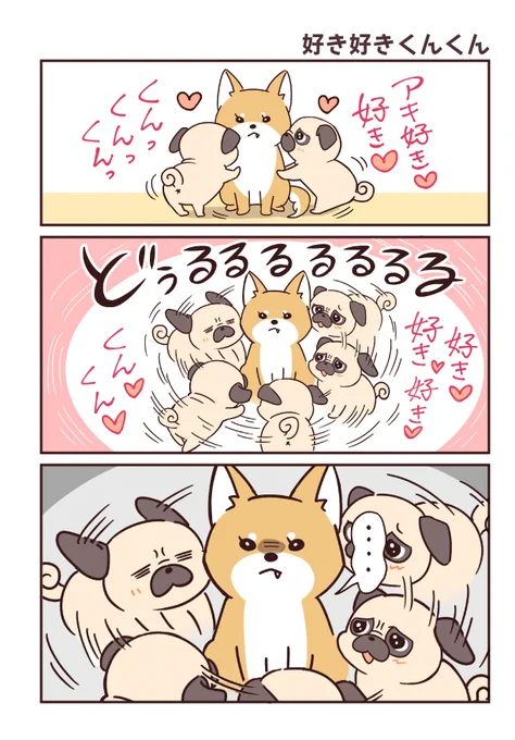 パグと柴犬兄妹の日常② 