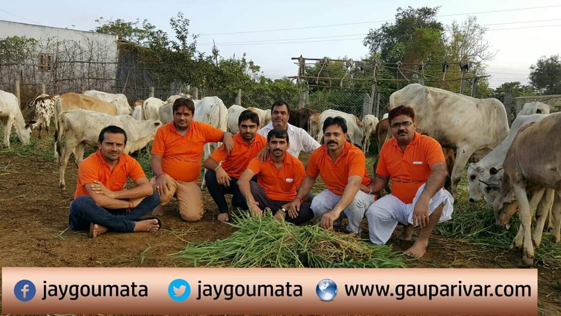 Gomata Gau SevaTrust tweet media