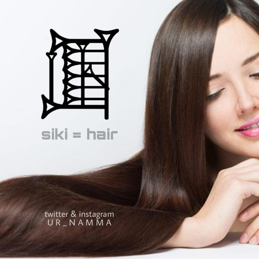Ur_namma's tweet photo. ( 𒋠 )
siki = [HAIR] "wool, fleece; hair; (animal's) pelt"
wr. siki→𒋠 
(4753x: ED IIIa, ED IIIb, Old Akkadian, Lagash II, Ur III, Early Old Babylonian, Old Babylonian, unknown) https://t.co/9vaVrsbKB6