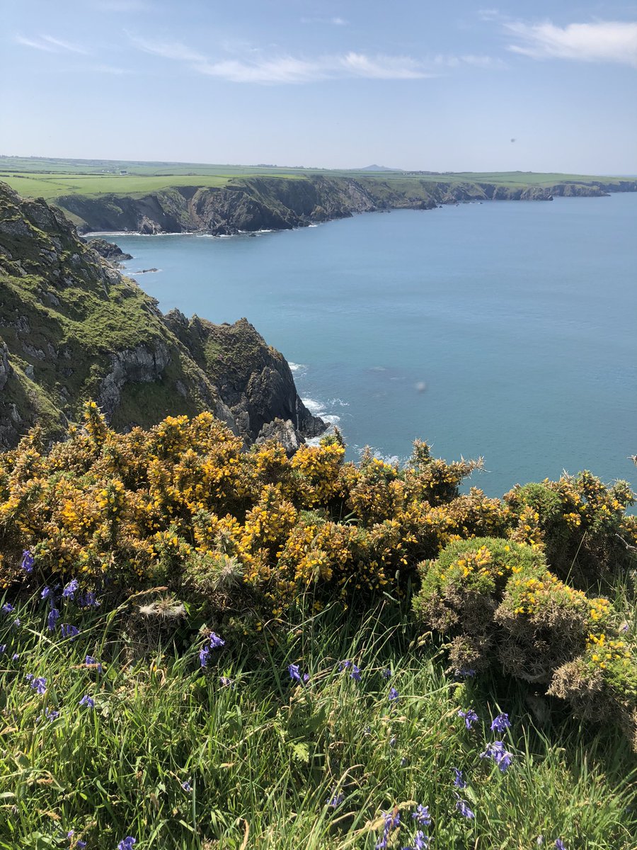 Rubbastuff's tweet photo. What a stunner of a picnic walk. 

https://t.co/wBBME863j7

#pembrokeshire #pembrokeshirecoast #pembrokeshirecoastalpath #wales #picnic #picnicwalk #sea #sunshine #halterm #getoutmore #getoutside #itdoesntgetmuchbetterthanthis https://t.co/po2MileQqd