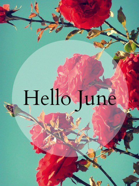 MzFrancesFX's tweet photo. Hello June, I am ready for new adventures. βοΈπ¦πΊπ€ #June1st #JuneThoughts π΅ https://t.co/zZ3VLXRNkA