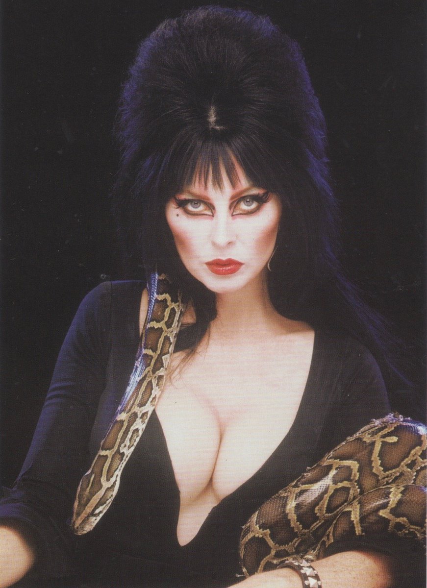 SexAndHorror's tweet photo. https://t.co/todkQMXBEL