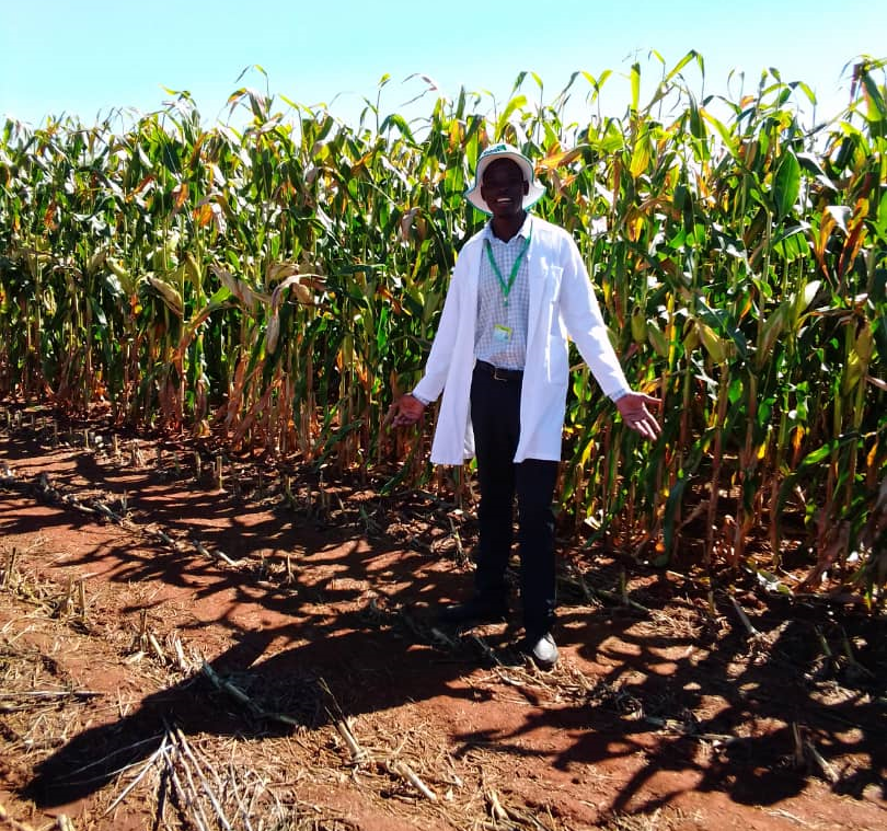 FarmersAfric's tweet photo. Agriculture growth and development https://t.co/5gt7zdhAnJ #pfumbudzaIntwasa #Zimbabwe #smallholder #foosecurity #climatesmart @basera_john @kurimazim @CIMMYT @FNCZimbabwe @Makera_Cattle @FmPointman @CooperZimbabwe @sansoleopinion https://t.co/LereJmrHFm