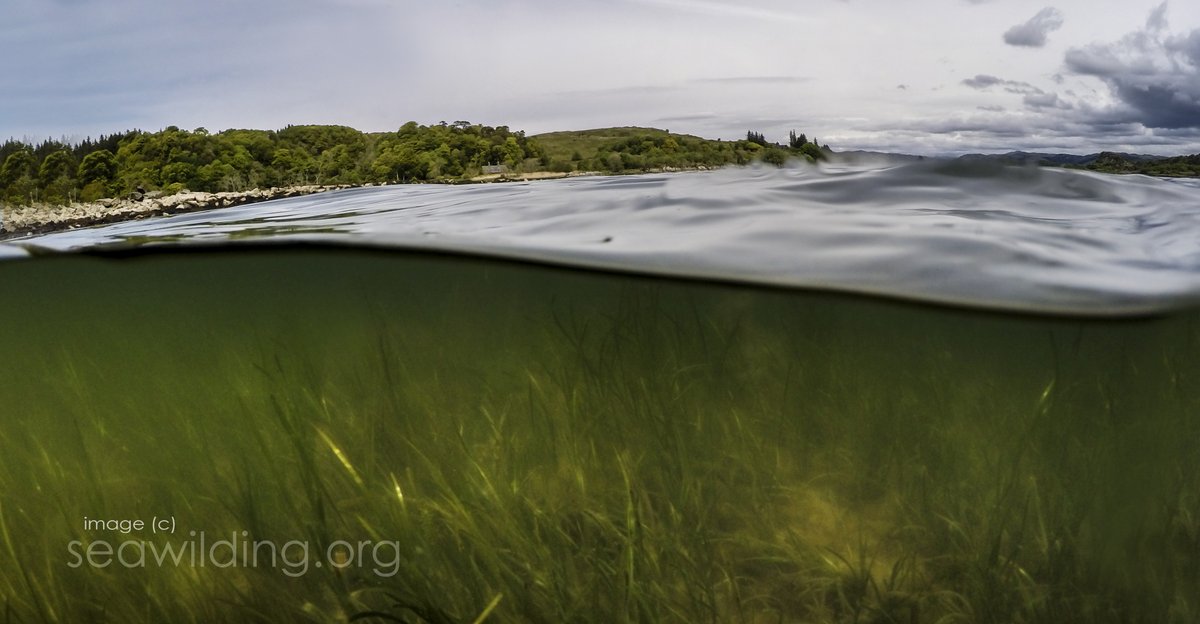 Loch Visions tweet media