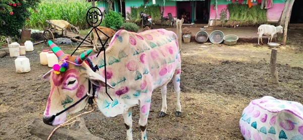 theantarafndn's tweet photo. In her latest blog titled “One month into my apprenticeship”, our fellow Aditi Revankar based in Chhindwara, takes you on a journey into her encounters in the field during the first month of her fellowship. 
Read Aditi’s blog here: https://t.co/zaFSk0GDTz

@_arevankar https://t.co/5a4KWhrN3N