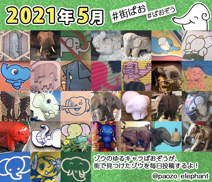 ぱおぞう 毎日街ぱお Paozo Elephant Twitter