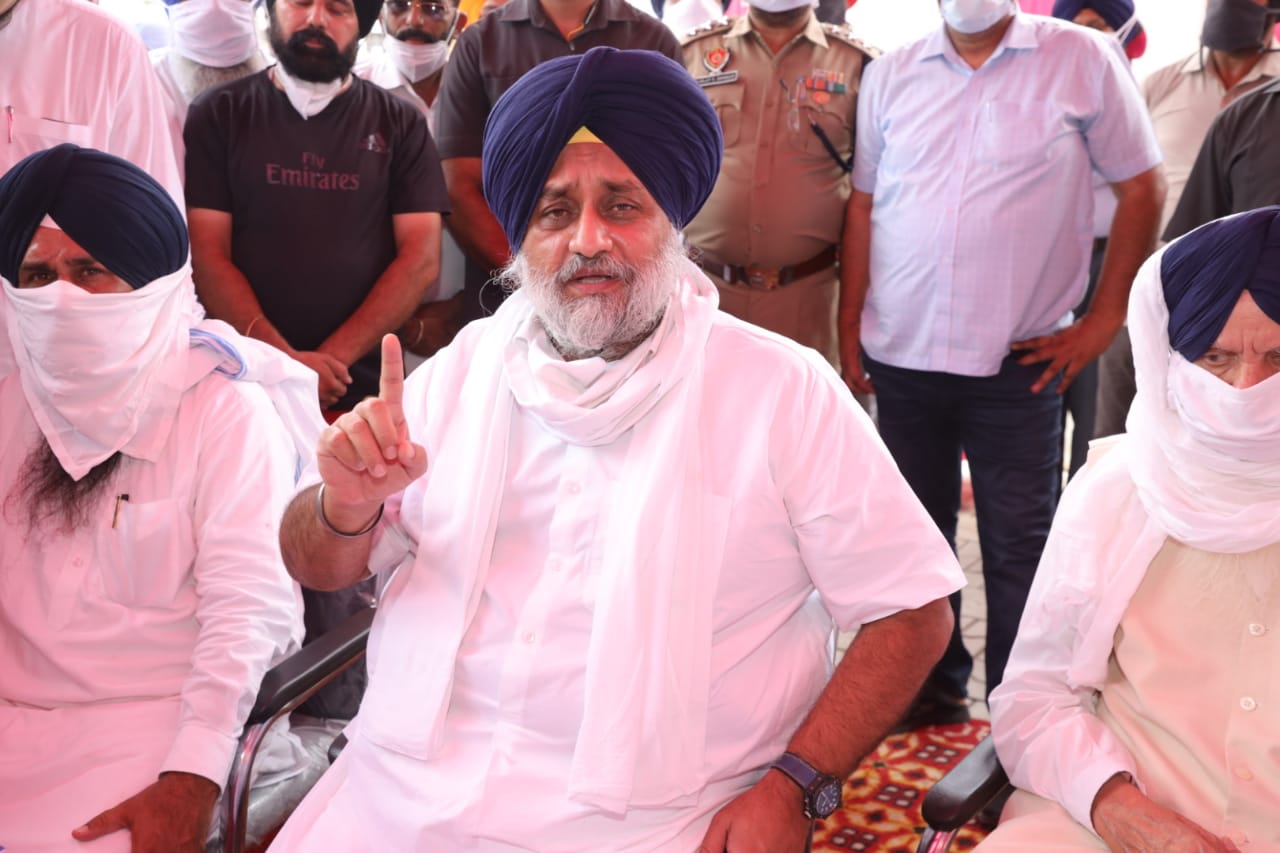 Shiromani Akali Dal (SAD) President Sukhbir Singh Badal said party will prepare election manifesto for 2022 Punjab Assembly elections soon.