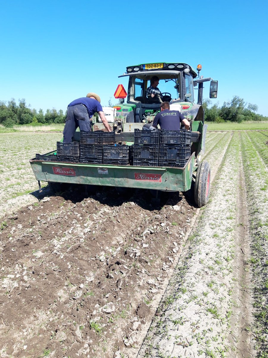 Vertify_nl's tweet photo. Nu we eindelijk wat mooier weer hebben, gebeurt er buiten ook van alles. In Zwaagdijk wordt gekopegd (gps gestuurd), gefreesd en aardappels gepoot met de hulp van Loonbedrijf Sturm-Jacobs B.V. 
#vertify #explore #explain #aardappels https://t.co/jwLttiuih7